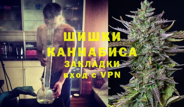 PSILOCYBIN Алзамай