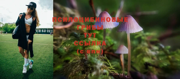 PSILOCYBIN Алексин