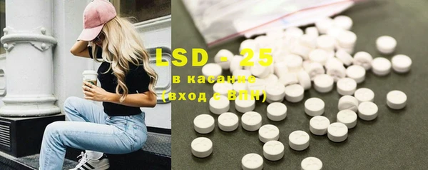 PSILOCYBIN Алзамай