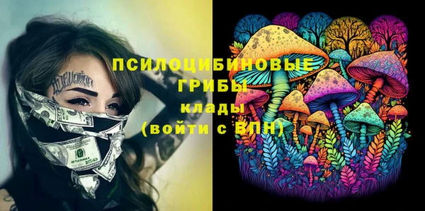 PSILOCYBIN Алзамай