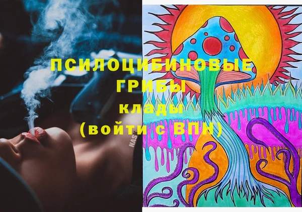 бошки Алексеевка