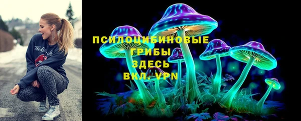 бошки Алексеевка