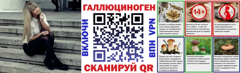 ссылка на мегу маркетплейс  Берёзовский  darknet Telegram  закладки  Галлюциногенные грибы ЛСД 