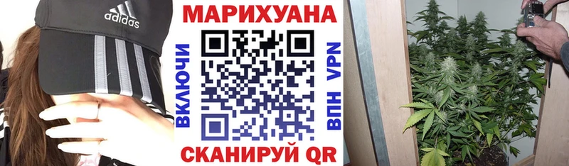 Каннабис ГИДРОПОН Берёзовский