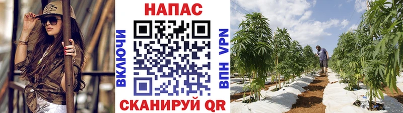 Бошки марихуана индика  хочу наркоту  Берёзовский 